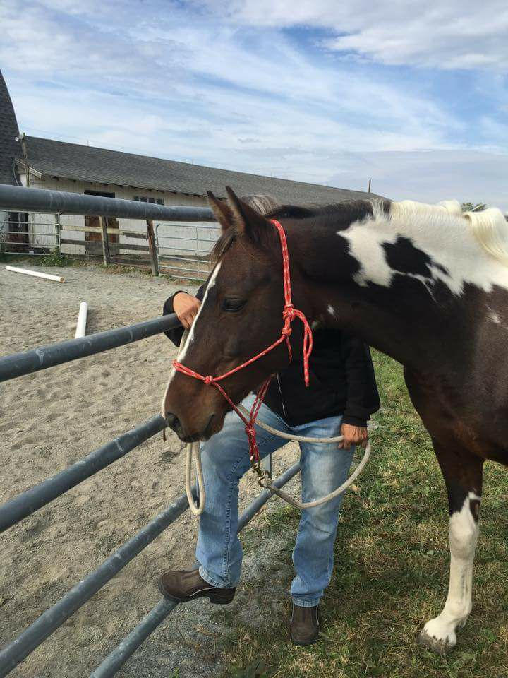 Kate and Chief ringside offering their support to the team doing the obstacle course!