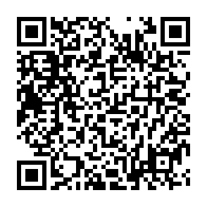 Imagen de logotipo de muestra