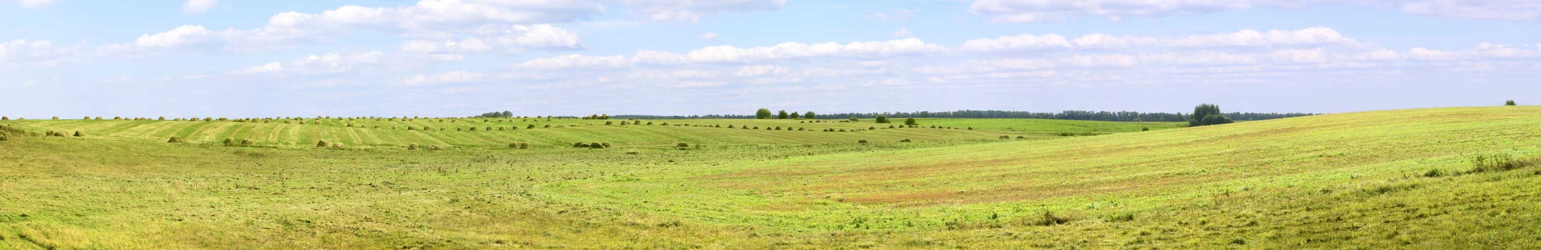 EJIDO EL RICON - asesoría al campo