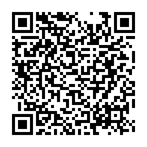 Imagen de logotipo de muestra