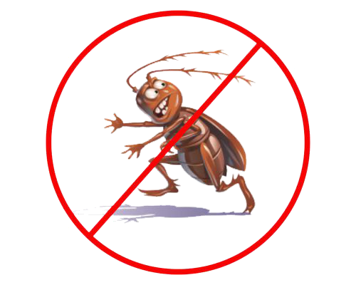 https://0201.nccdn.net/1_2/000/000/091/4db/insectos04-500x400.png