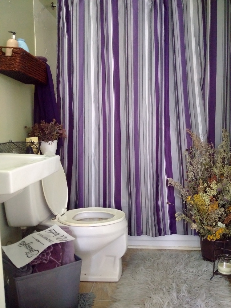 421 Douglas #3 Bathroom