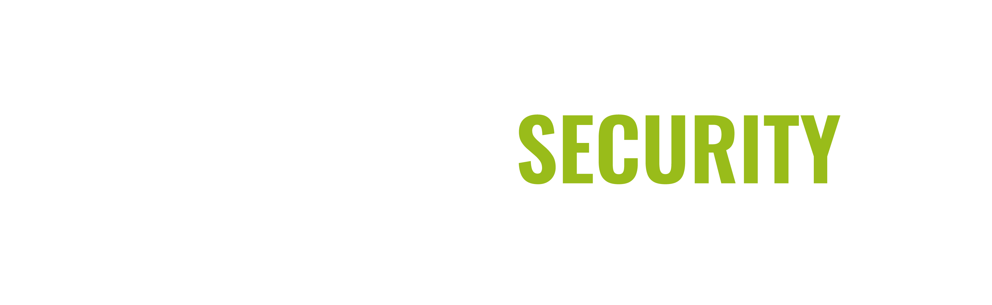 garsecurityandservices.com