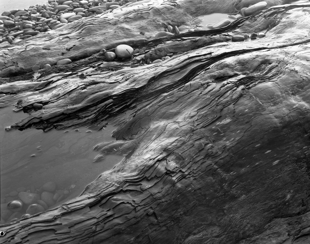 Ruby Beach Driftwood