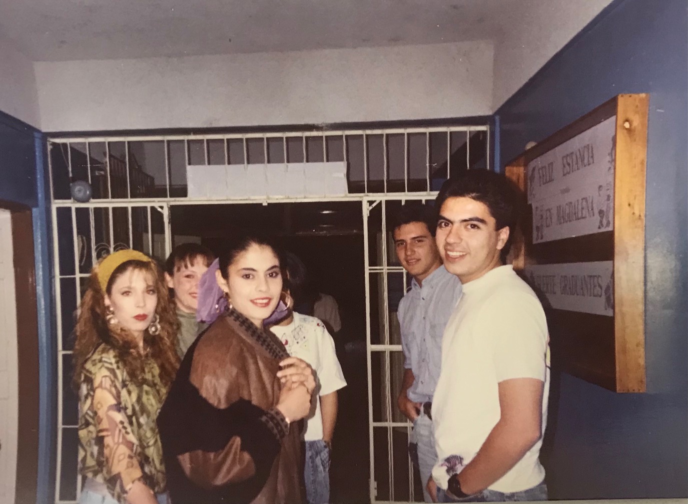 un mapache sentado en una roca