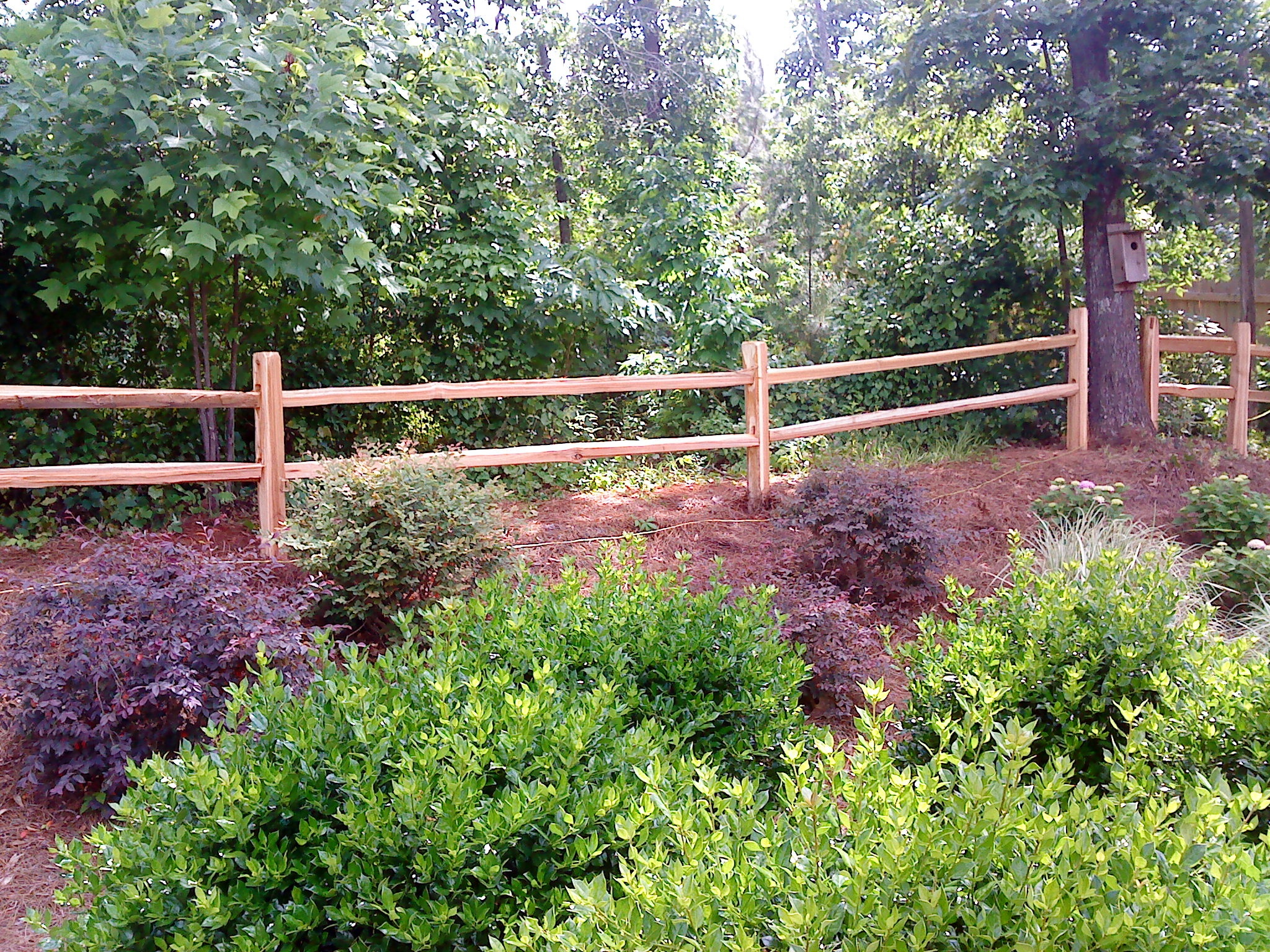 2 RAIL CEDAR SPLIT RAIL