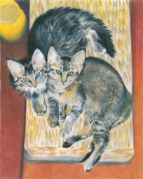 Yin and Yang (coloured pencil)