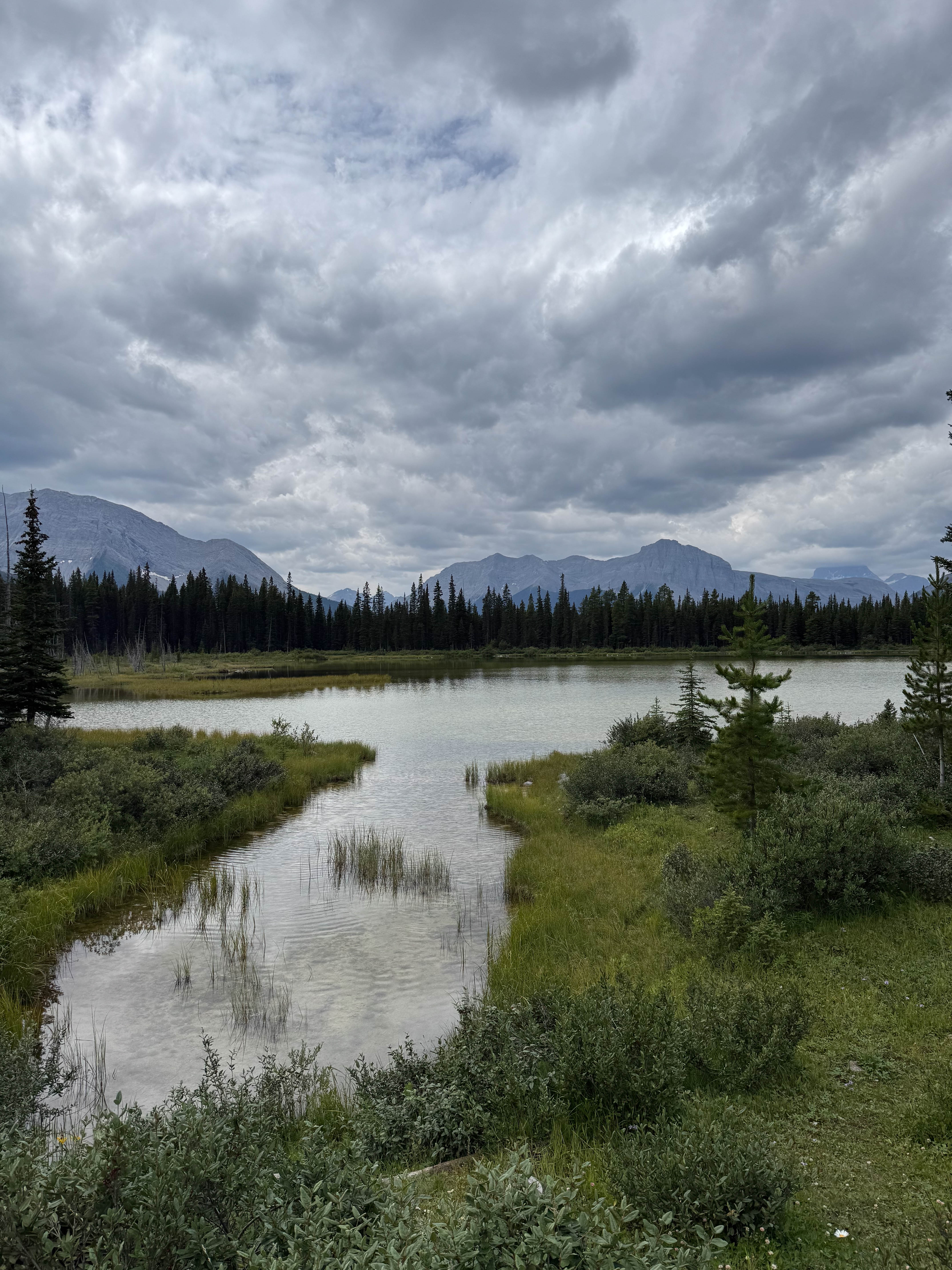 https://0201.nccdn.net/1_2/000/000/092/671/calgary-order-154.jpg