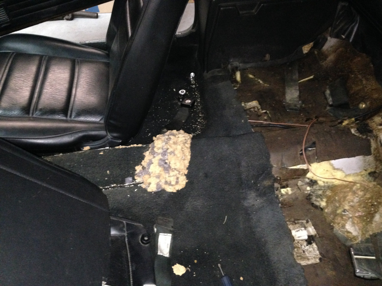 Center Console removed, look what was found underneath it! Another nest!