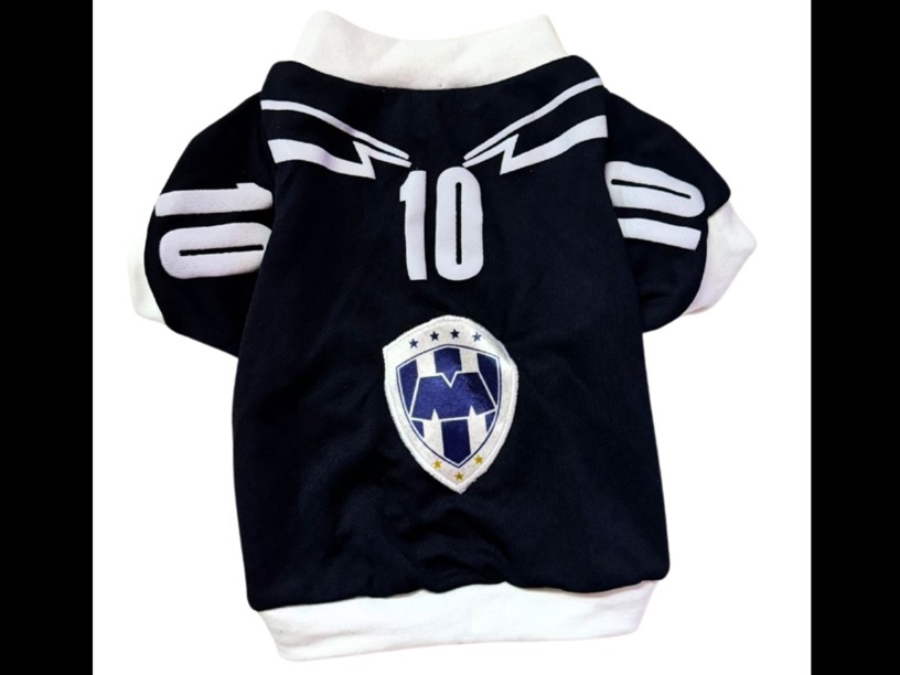 PLAYERA JERSEY MONTERREY