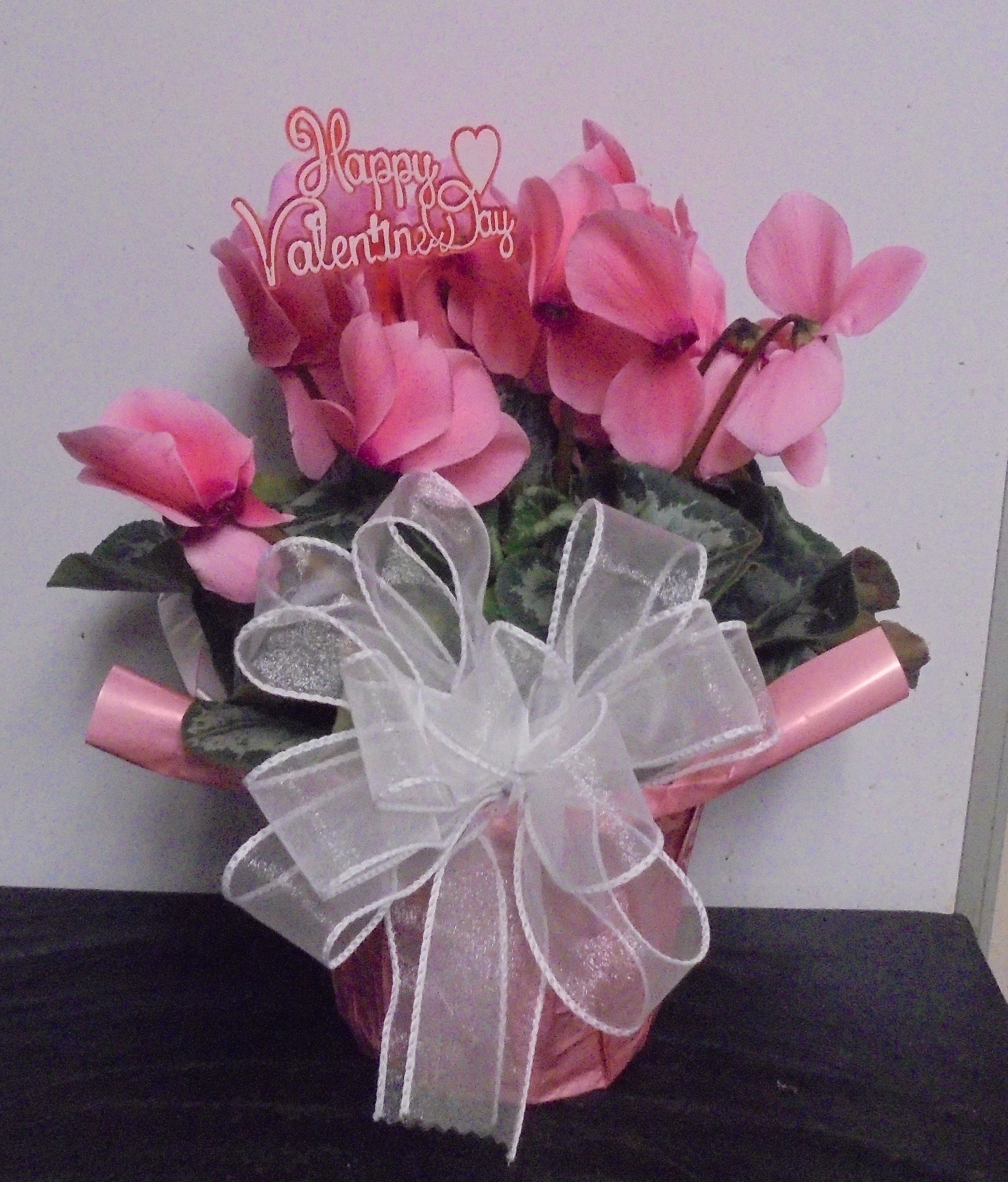 (2)  "Pink" Cyclamen Plant
$40.00