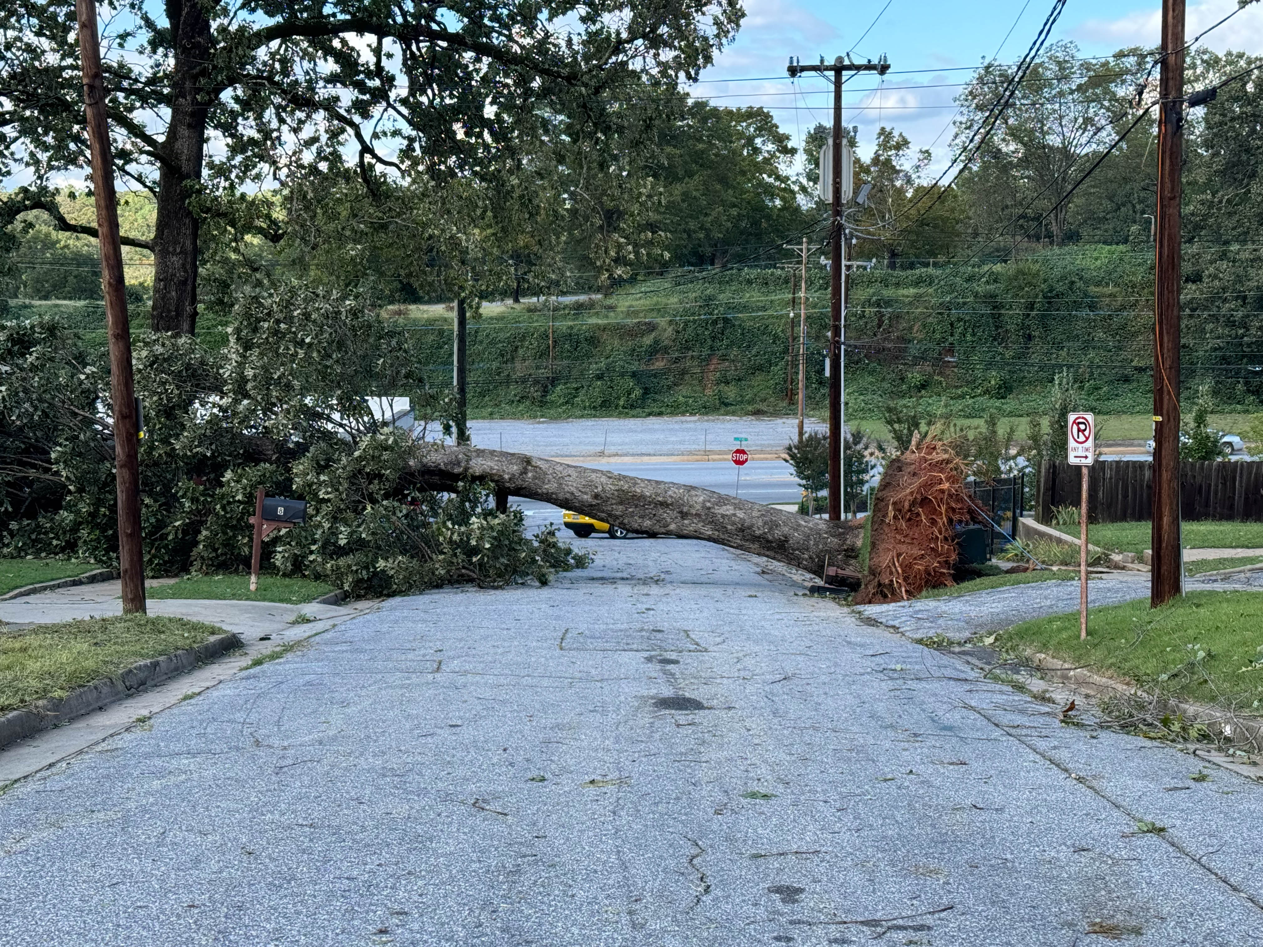 https://0201.nccdn.net/1_2/000/000/094/83b/greenville-order-38.jpg