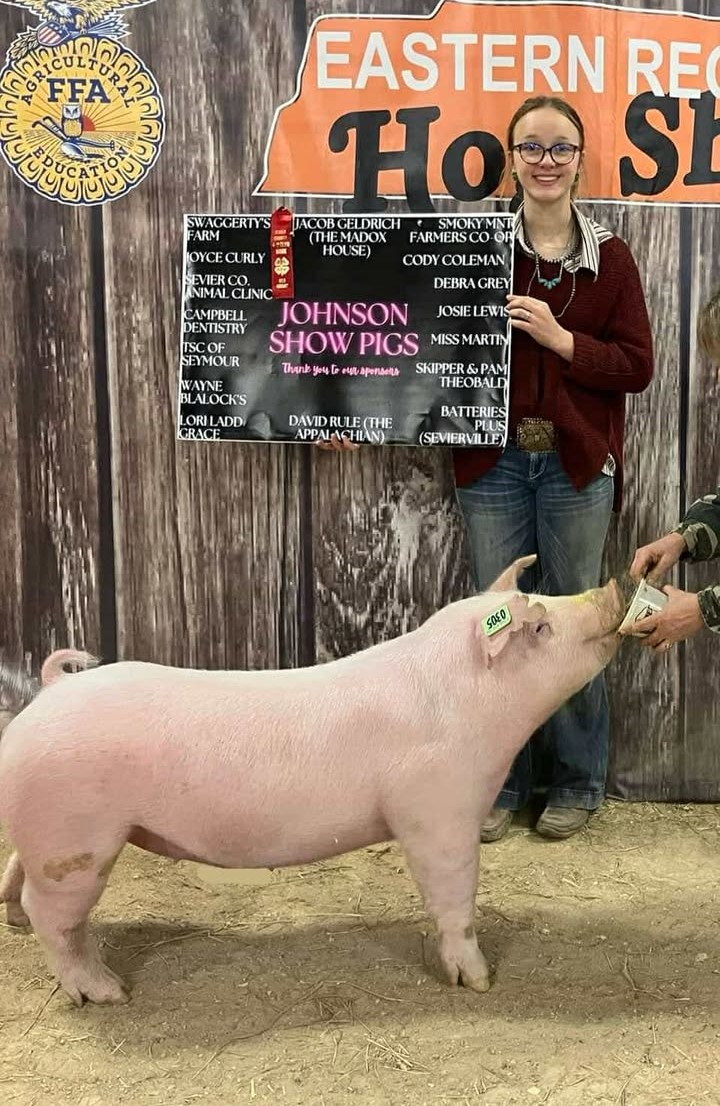 Ivy Johnson
2024 Sevier County Show 
Reserv Champion Breeding Gilt