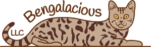 Bengalacious, LLC