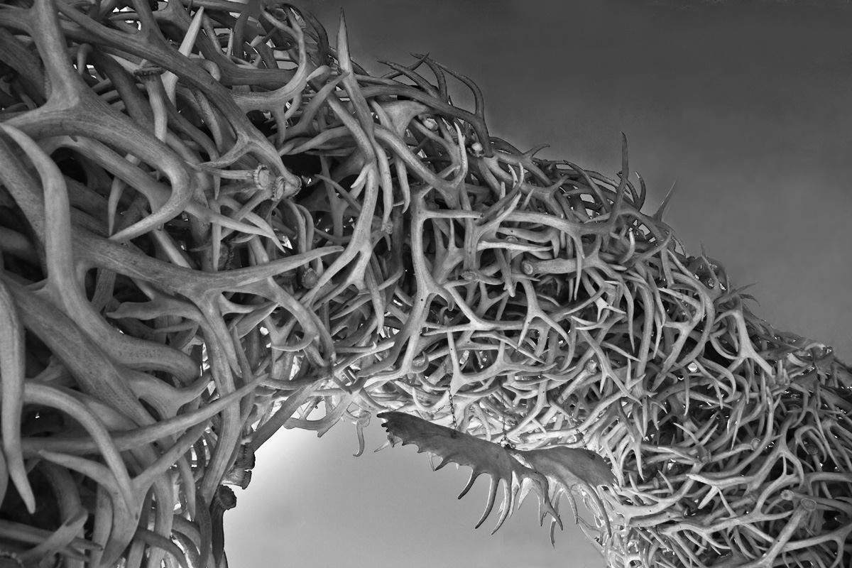 Jackson Hole Antler Arch