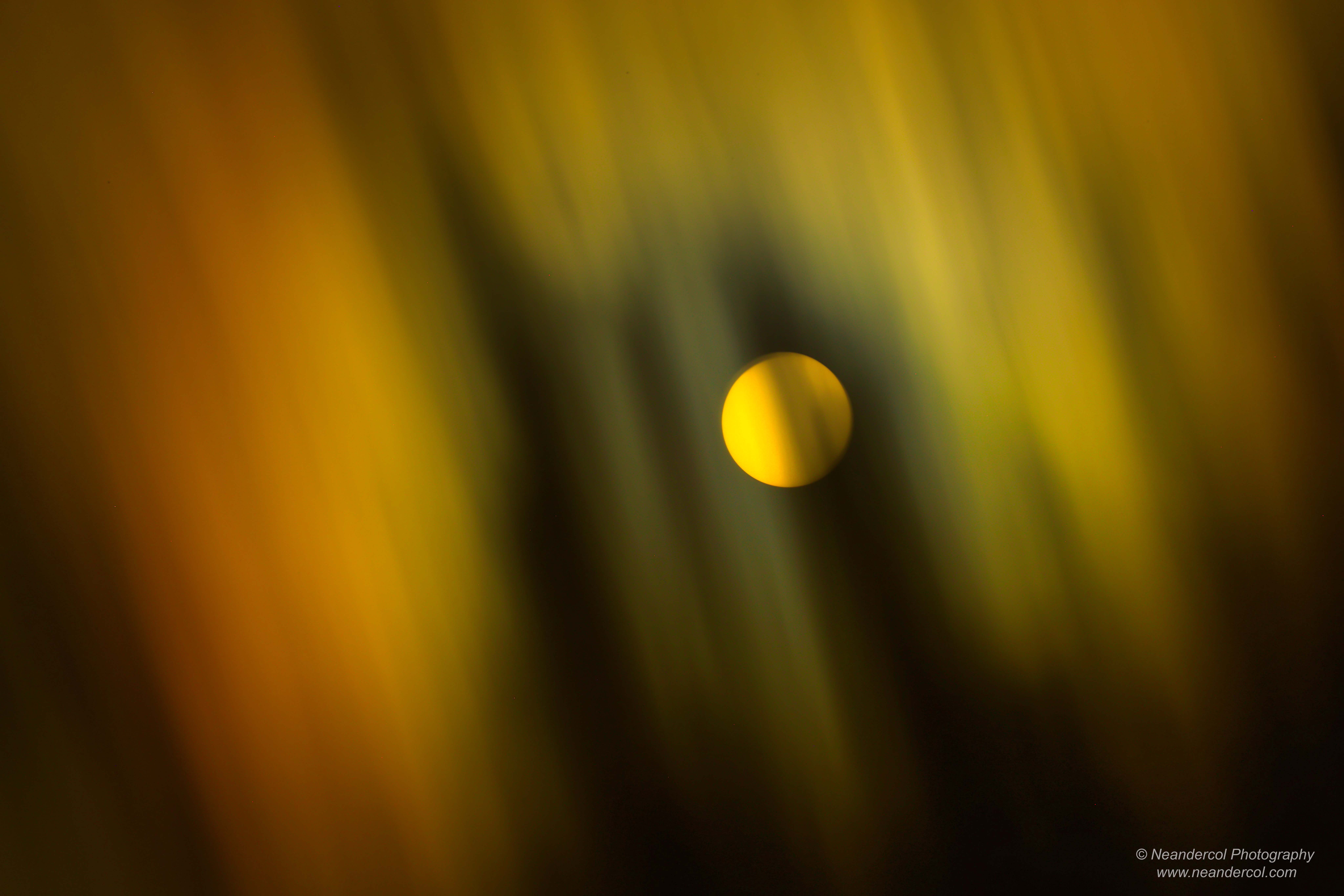 Sun 584