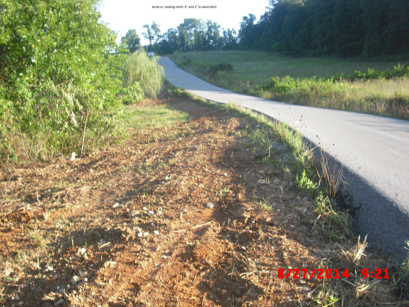 Jersie Lane Looking North
