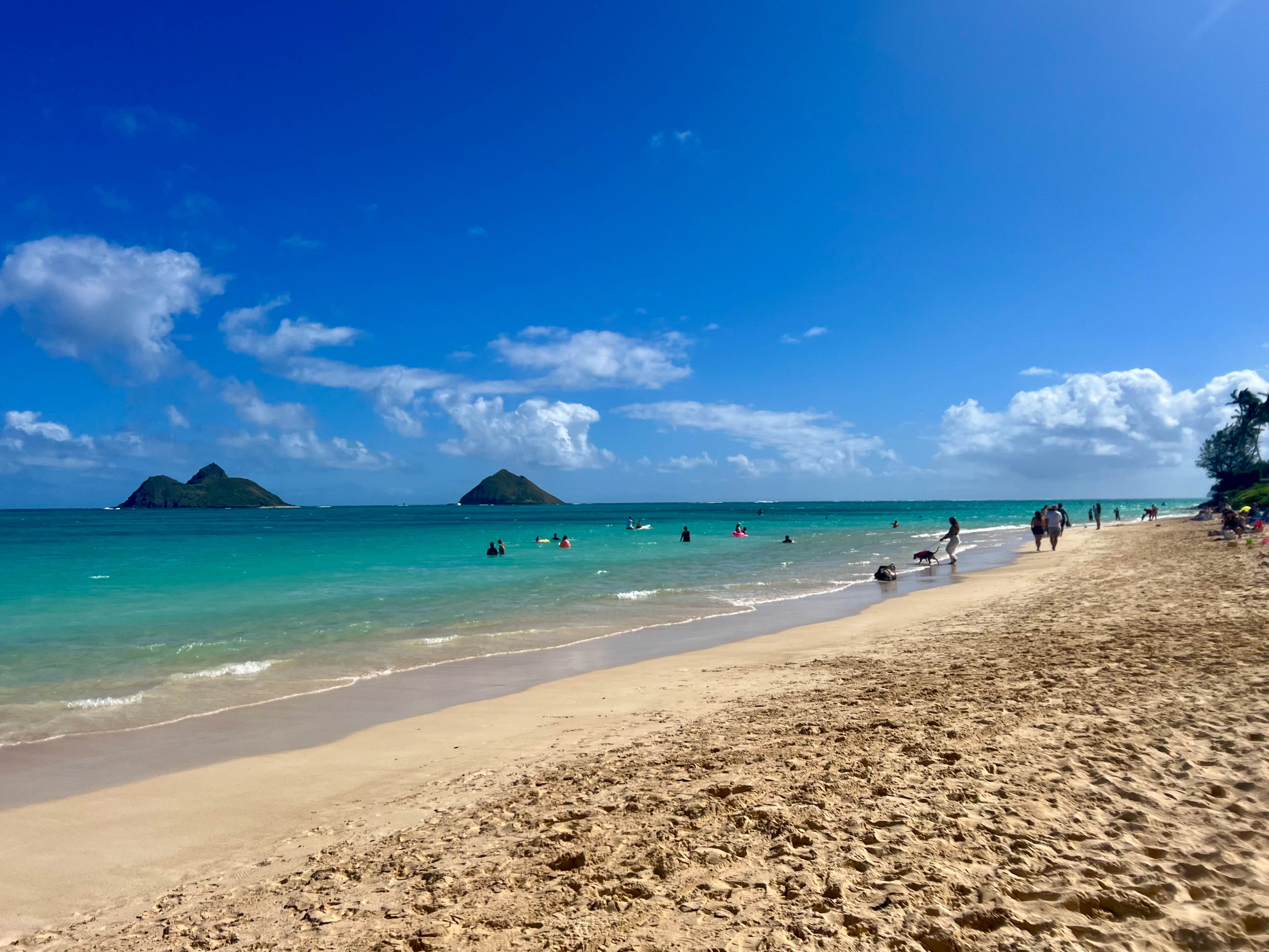 https://0201.nccdn.net/1_2/000/000/095/ebc/hawaii-order-105.jpg