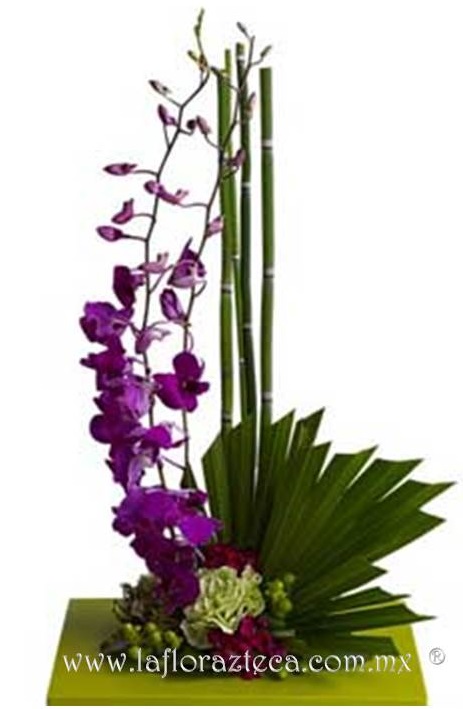 LFA-OT010 Diseño Lineal
Precio $1,970