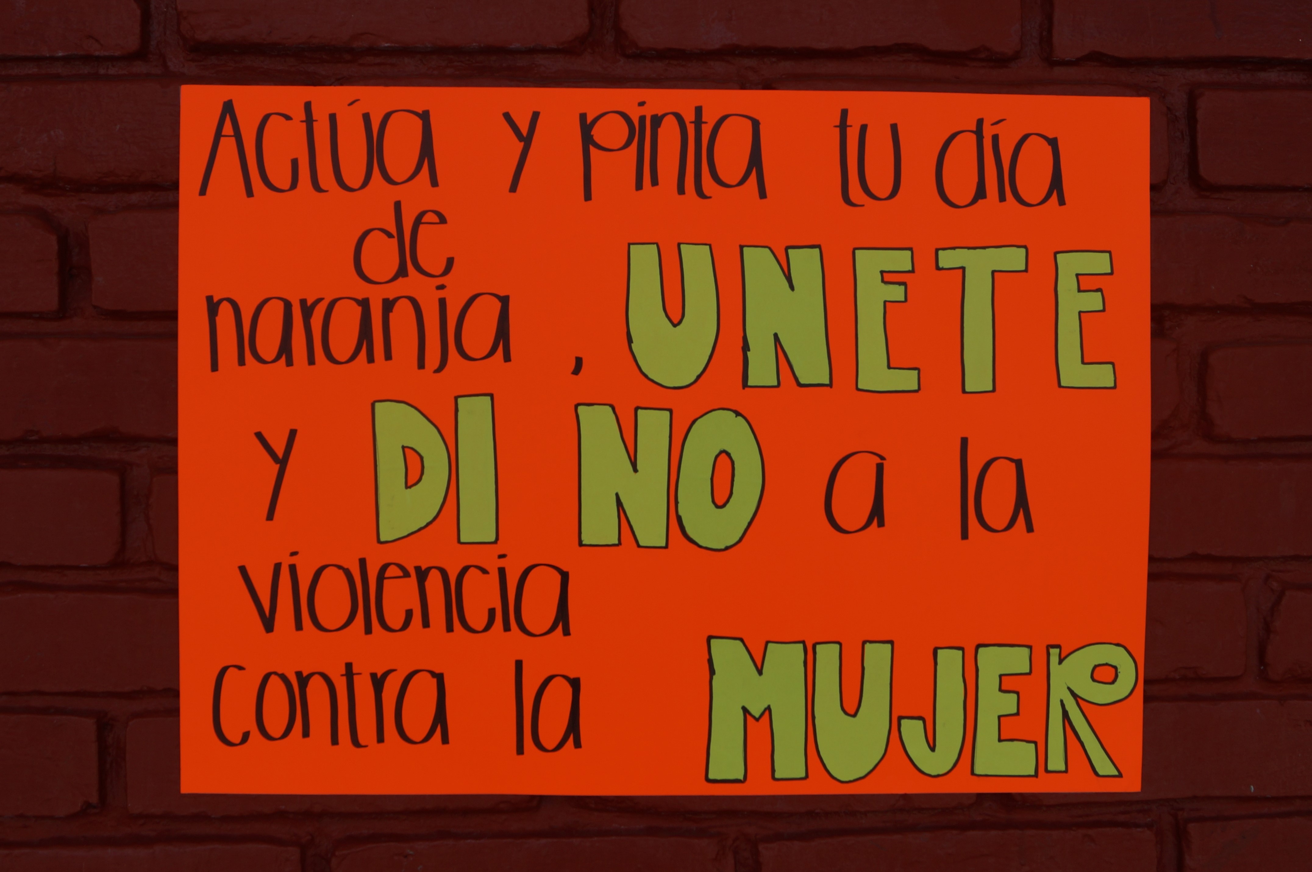 DIA DE LA NO VIOLENCIA CONTRA LA MUJER
25 DE MAYO 2017