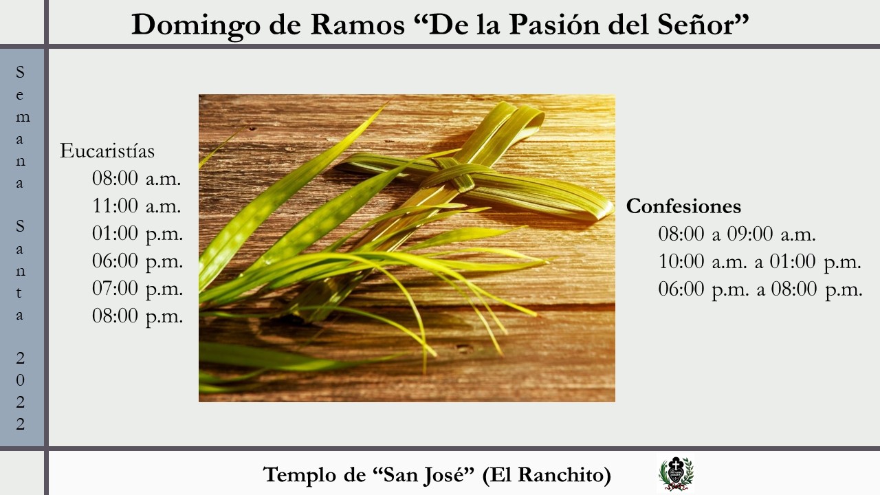 https://0201.nccdn.net/1_2/000/000/097/1ea/domingo-de-ramos.jpg