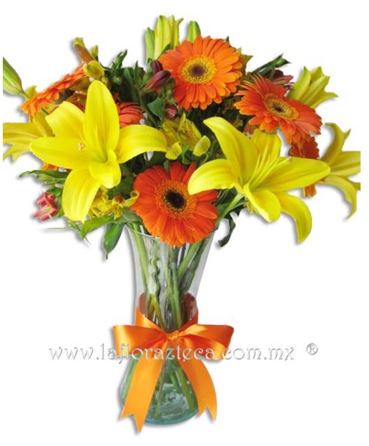 Mom - 108
Precio $750