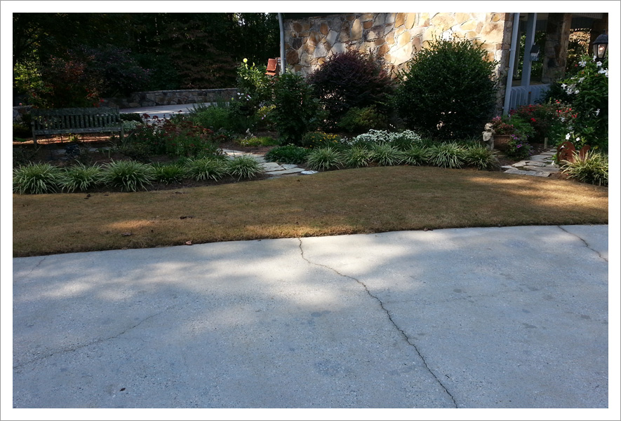 Brown lawn side of driveway||||