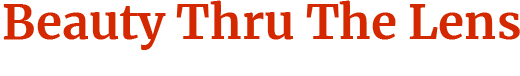 Site Title