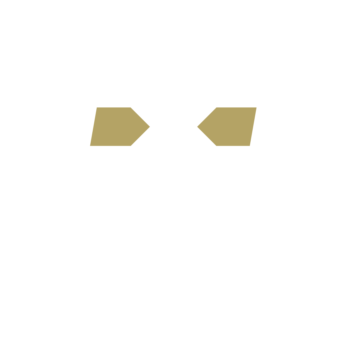 IN EARS CUSTOM