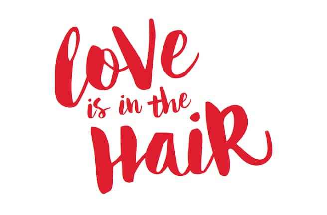 https://0201.nccdn.net/1_2/000/000/097/bda/Love-is-in-the-Hair-656x433.jpg
