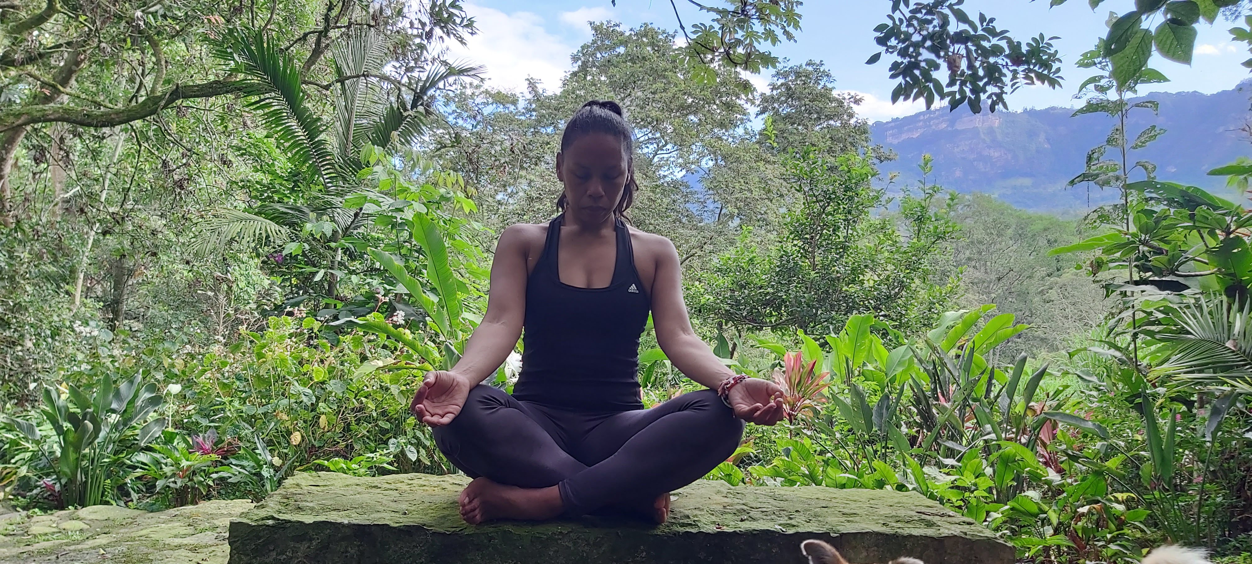 Wellness Coach