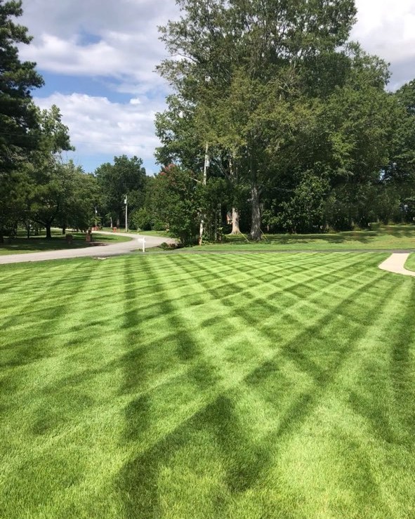 Lush garden with a stone path, blooming pink flowers, and green trees.