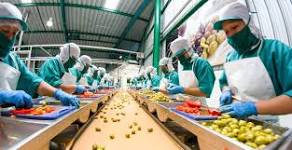 Que es la Industria Alimentaria

noticias alimentaria
foodnews
directorio industrial
buscador industrial alimentaria
bip buscador alimentario industrial