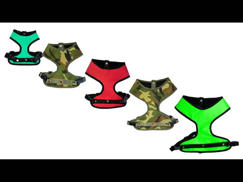 ARNES EXPLORER Y CAMUFLAJE