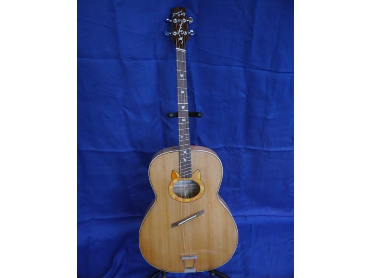 Dont adjust your set !!
Cat themed Tenor guitar with fan frets