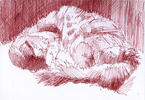 Catnapping 10 (Pen and sepia ink)