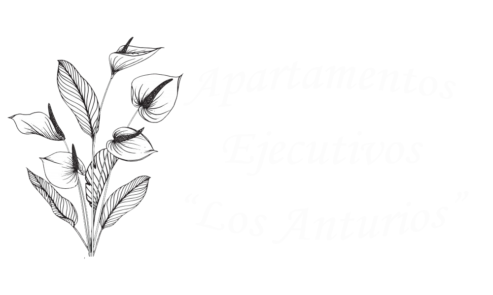 Apartamentos Ejecutivos Los Anturios