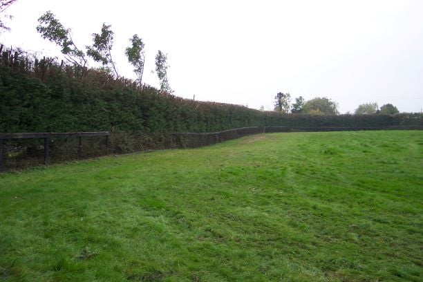 Hedge Cutting - Suffolk 