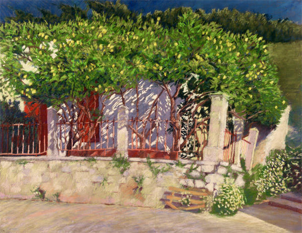 The Lemon Tree House (Pastel, 19.5" x 25.5")