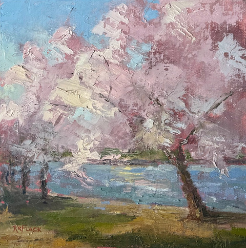 Flack, Cherry Blossom time, 8x8 Oil