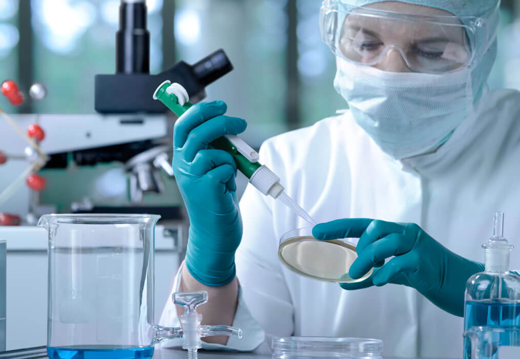 Uroboro S.A. de C.V. - Servicios