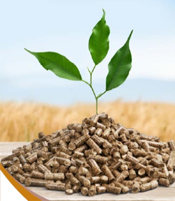 Plant and Pellets