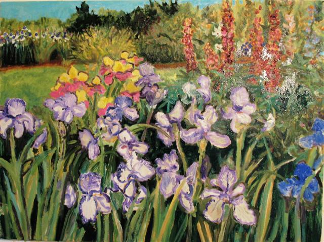 Taylor, Edgy Iris, 30 x 40 Oil