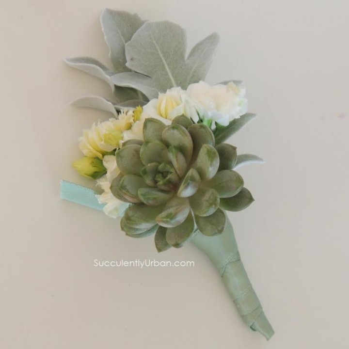 Succulent Boutonniere with Greenery