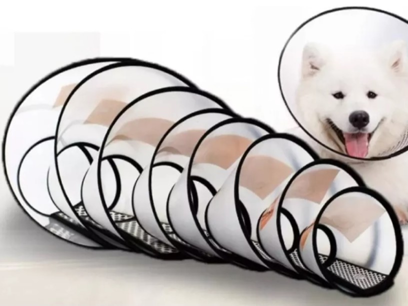 JCOIC08 JUEGO DE 
COLLAR ISABELINO CONTACTEL 
8 PIEZAS