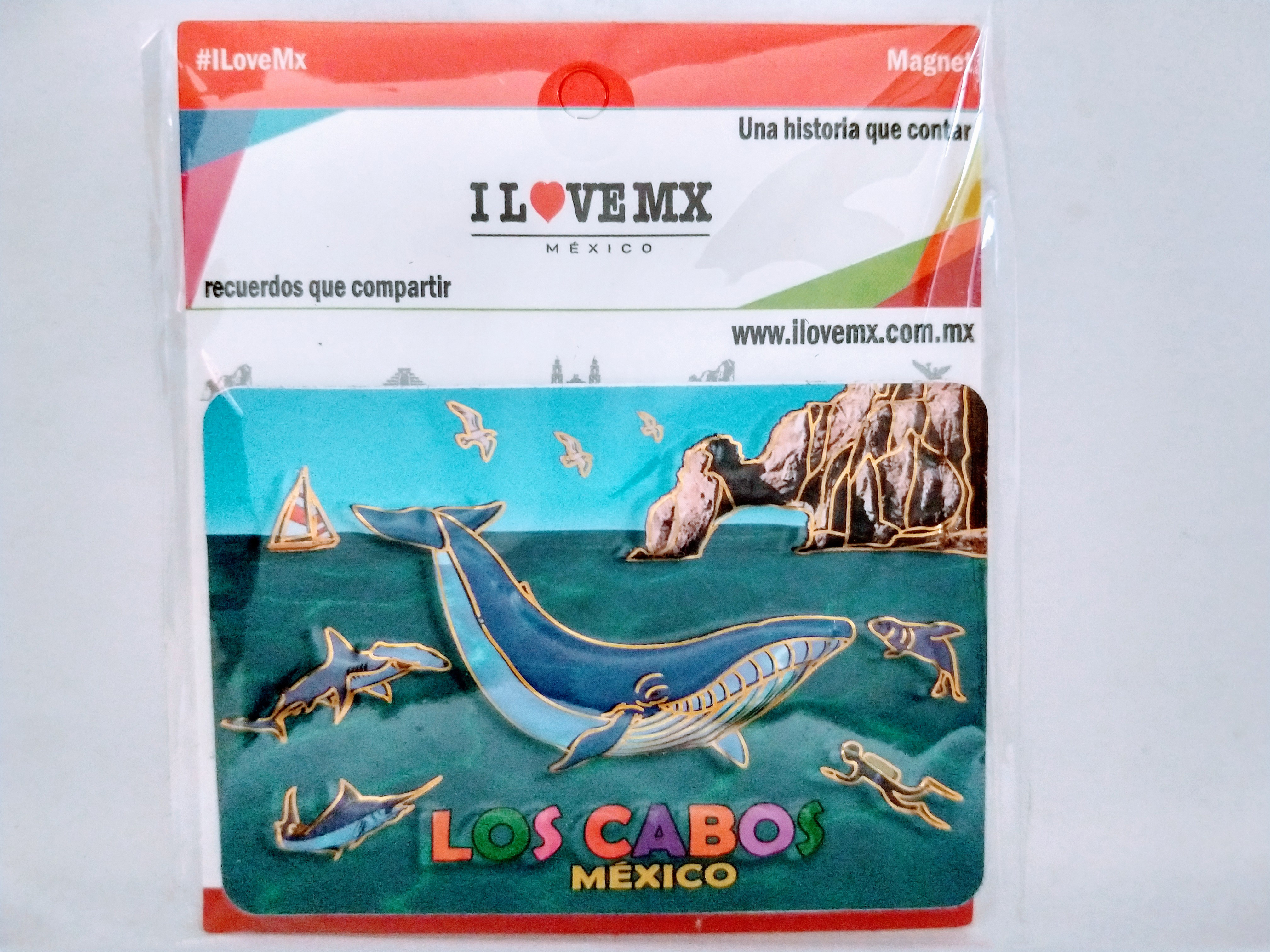 IMÁN RESALTADO LOS CABOS
8cm Ancho
5.5cm Alto