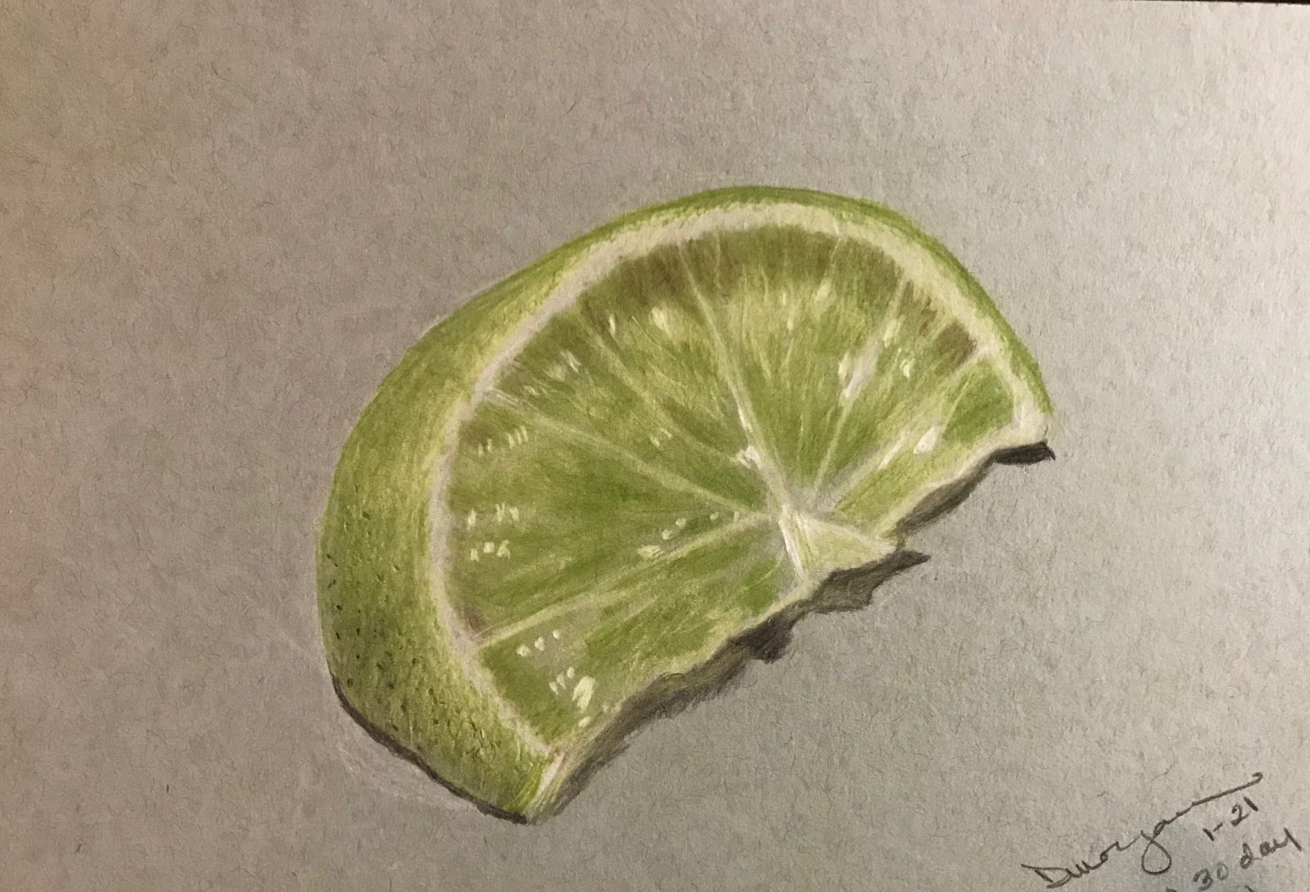 Lime Wedge -  Class by Phil Davies ArtTutor.com