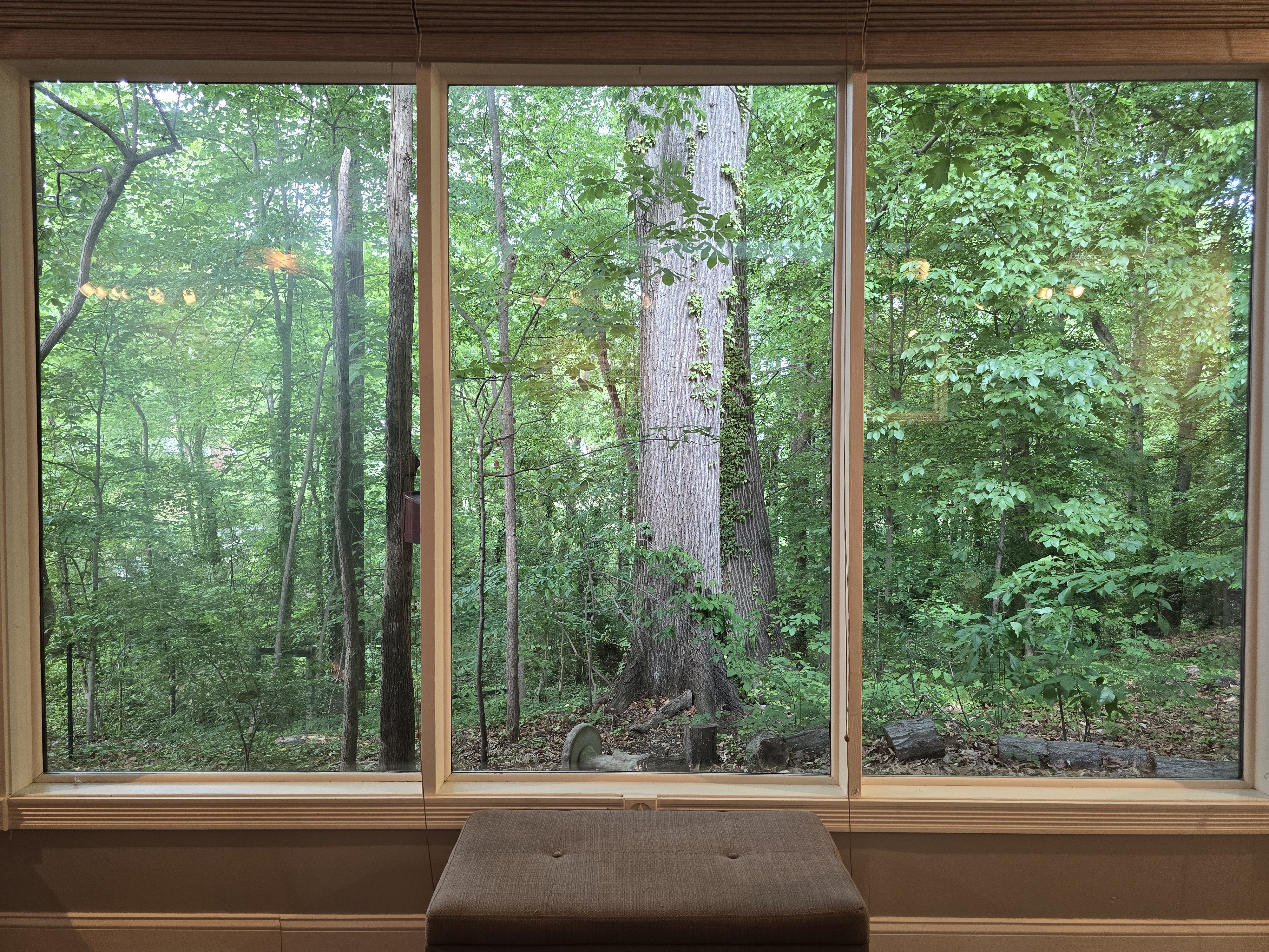 https://0201.nccdn.net/1_2/000/000/09a/b99/studio-view.jpg