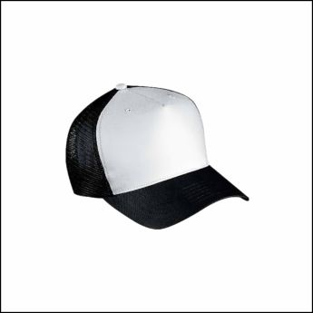 https://0201.nccdn.net/1_2/000/000/09a/e69/gorras-2.jpg