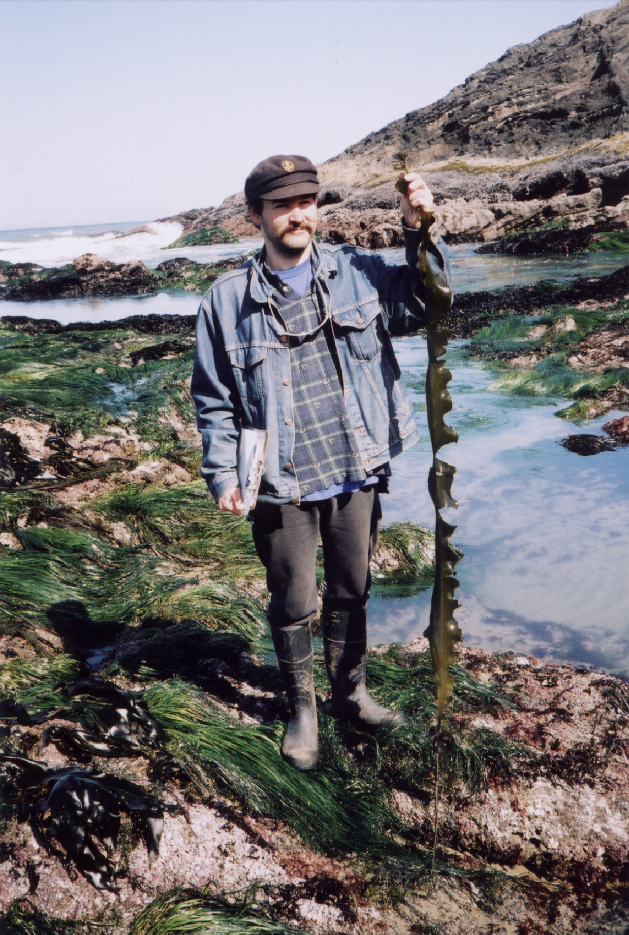 Hi-Larious '90s Cap'n Larry And His Alaria (aka Winged Kelp, Wakame, Honey Ware)